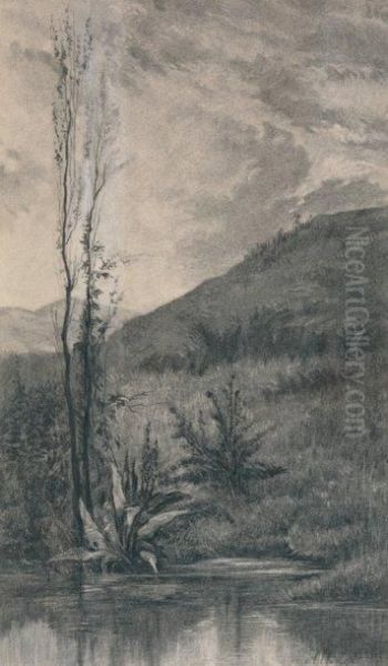 Paysage A La Mare - view 1