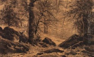 Sous Bois En Foret De Fontainebleau