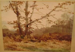 Sous-bois