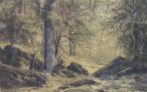 Foret De Fontainebleau