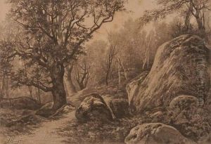 Rocher Dans La Foret De Fontainebleau