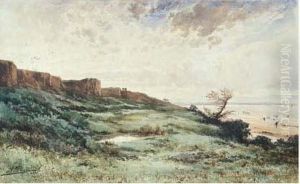 Paysage De Bord De Mer