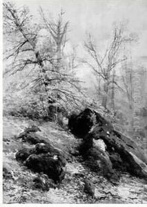 Rochers A Fontainebleau