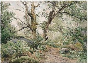 La Foret