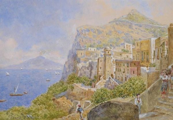 View Of Vesuvius As Seen From Capri - view 1