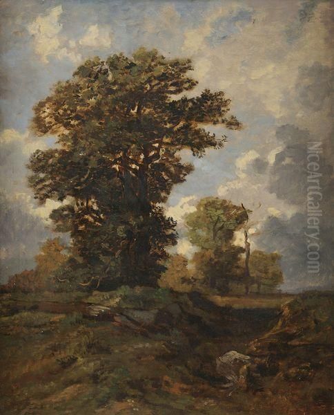 Les Chenes, Foret De Fontainebleau by Auguste-Paul-Charles Anastasi