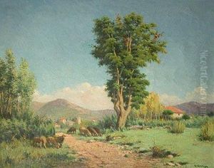 Paisaje Con Ovejas.
