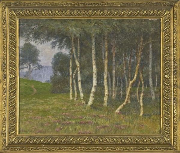 Bosco Di Betulle - view 1