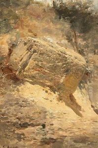 Rocas. by Jose Armet Y Portanell