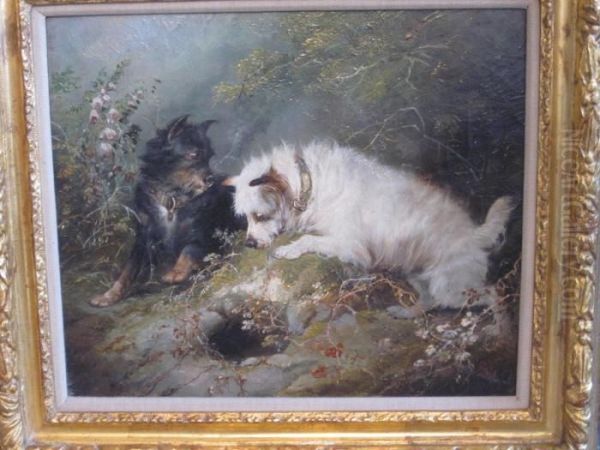 Terriers Ratting - view 1
