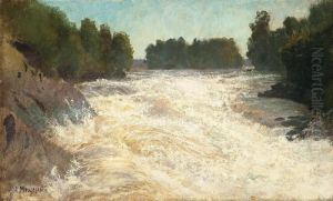 Raging Rapid by Arseny Ivanovich Meshchersky