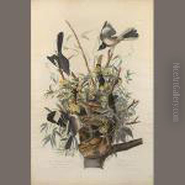 The Mocking Bird - view 1
