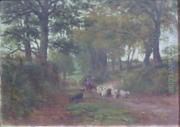 Devonshire Lane, Near Dawlish - view 1