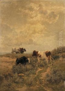 Cows Grazing In The Dunes