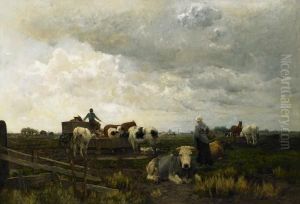 Spring Day In The Fields