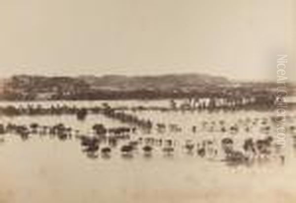 avignon, Inondations No. 82 - view 1