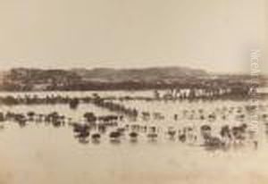 avignon, Inondations No. 82 by Edouard Denis Baldus