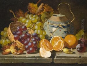 Nature Morte Nature Morte