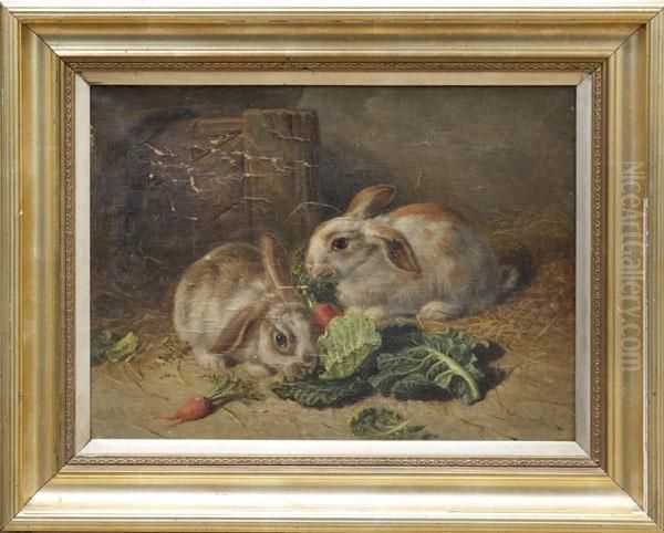 Study Of Rabbits - view 1