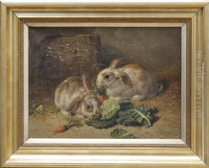 Study Of Rabbits Study Of Rabbits
