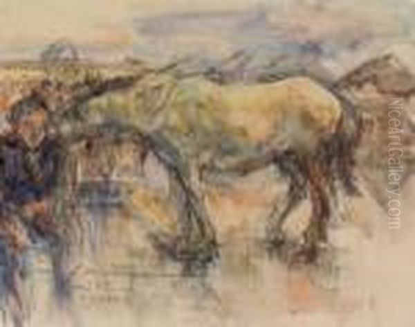 Cheval A Athenes - view 1