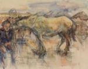 Cheval A Athenes by Alexander Barkoff