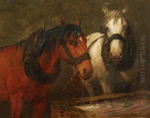 Horses At A Trough - view 1