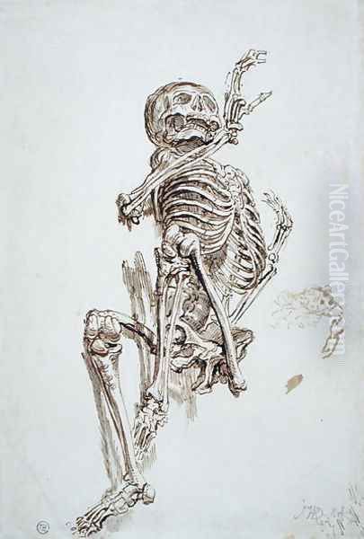 A Human Skeleton - view 1