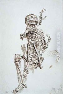 A Human Skeleton by James Ward