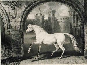 A Persian Horse, from Celebrated Horses, a set of fourteen racing prints published by the artist, 1823-24 by James Ward