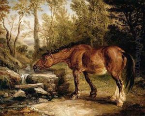 A Horse Drinking at a Stream 1838 by James Ward