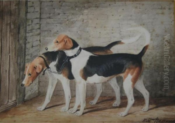 Coupled Fox Hounds - view 1