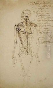 Drawing of a Mans Skeleton by James Ward