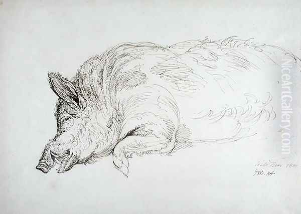 A Wild Boar, Asleep or Dead, 1814 - view 1