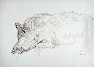 A Wild Boar, Asleep or Dead, 1814 by James Ward
