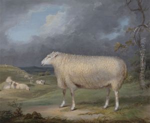 A Border Leicester Ewe by James Ward