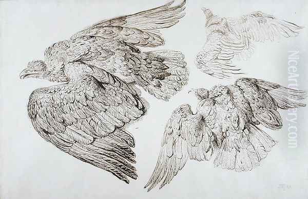 Eagles - view 1