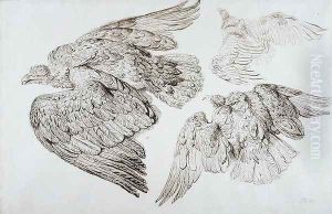 Eagles Eagles
