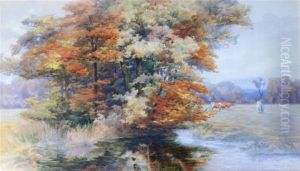 Autumn In An Irish Park