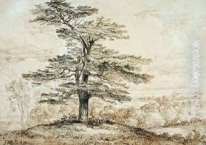 A Cedar on a Rise with a Herd of Deer Grouped Beneath its Shade, 1814 by James Ward
