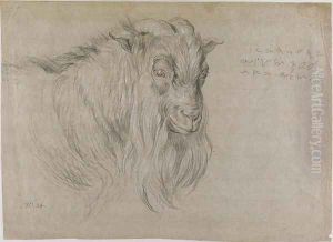 Study of the Head of a Ram by James Ward