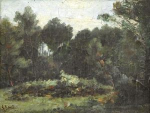 Landschaftspartie Mit Waldlichtung by Amedee Baudit