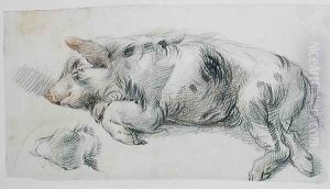 Sleeping Pig by James Ward