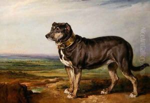 Portrait of Vic, a Spanish Bloodhound, c.1818-20 by James Ward