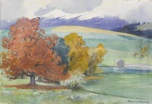 Herbstliche Landschaft by Christian Baumgartner