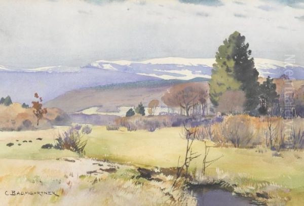 Vorfruhlingslandschaft Im Bernbiet - view 1