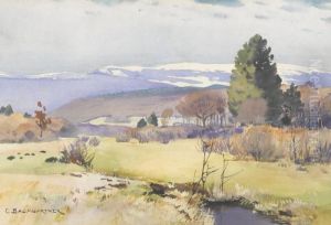 Vorfruhlingslandschaft Im Bernbiet by Christian Baumgartner