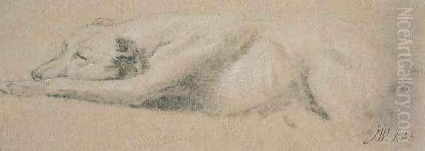 Study of a Sleeping Dog - view 1