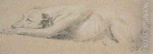 Study of a Sleeping Dog by James Ward