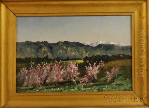 Valley Grove - view 1